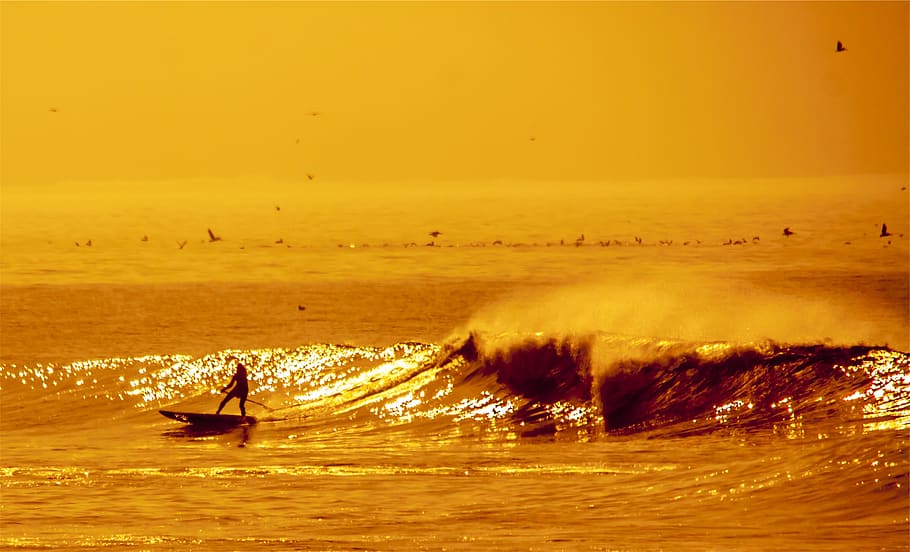surfer, surging, waves, water, ocean, sea, sports, birds, sunset HD wallpaper