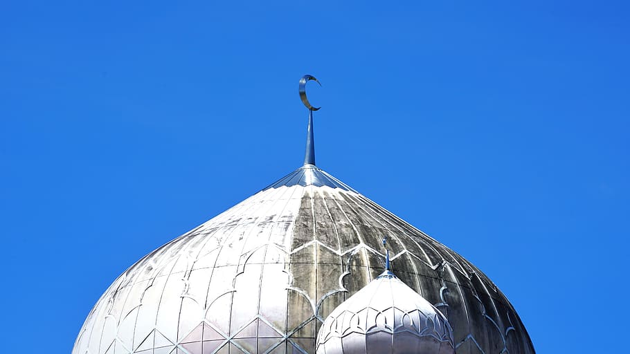 building, architecture, dome, tent, bird, animal, planetarium HD wallpaper
