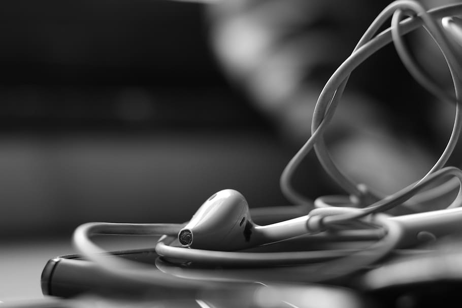 india, mumbai, close-up, selective focus, indoors, no people HD wallpaper