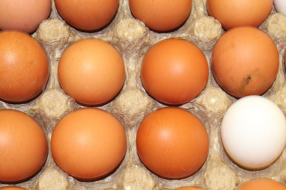 eggs, chicken, food, nutrition, easter, there are, spring, white HD wallpaper