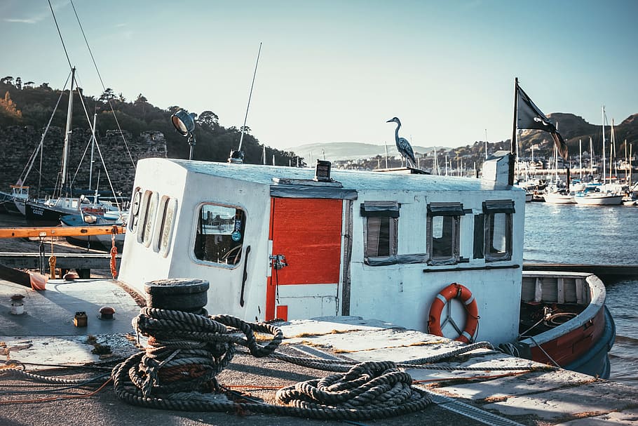 Fishing Boat on a Dock, bay, bird, boats, clouds, coast, daytime HD wallpaper