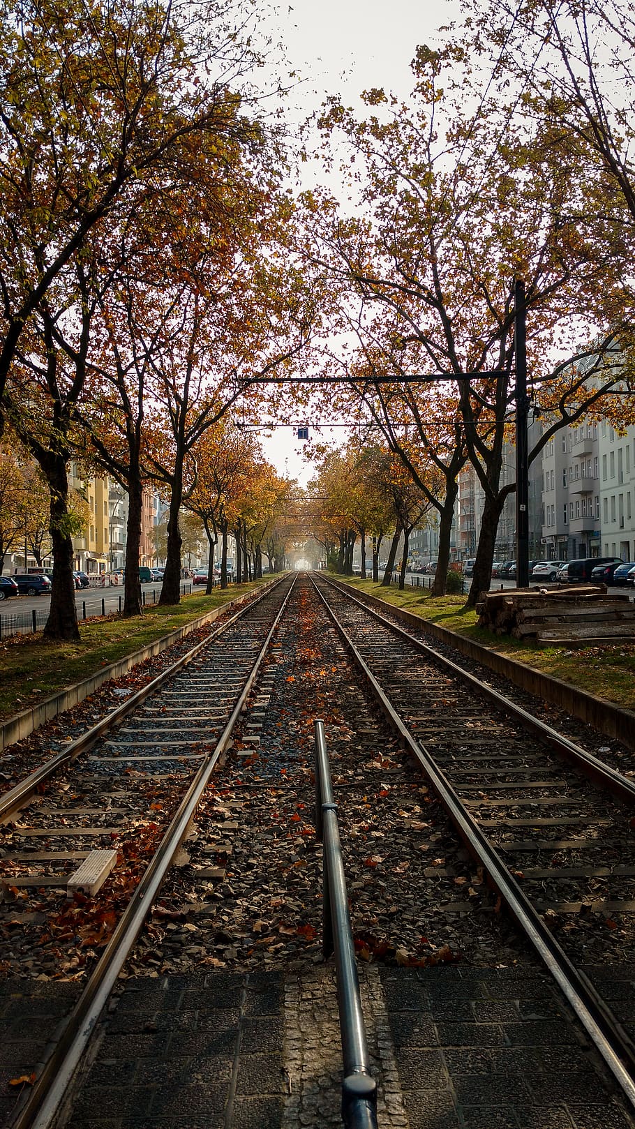 germany, berlin, rails, treks, trees, fog, street, autumn, leafs HD wallpaper