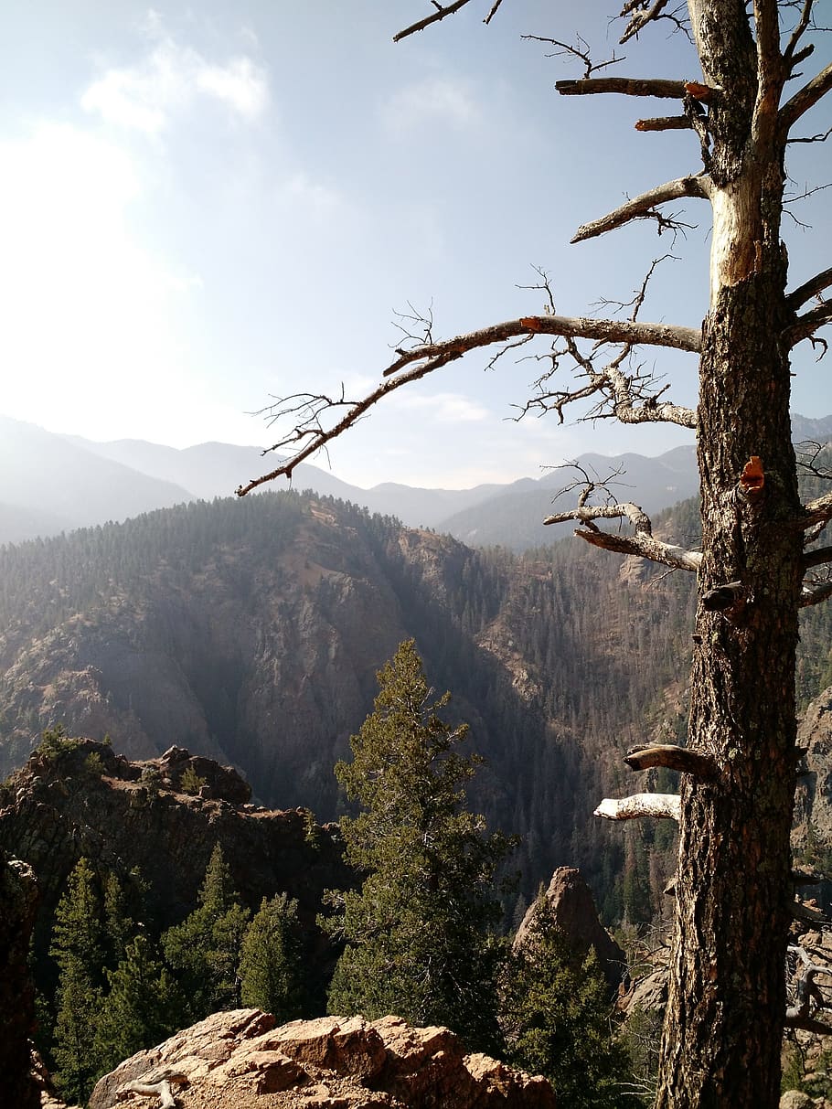 vista, view, mountain, cheyenne, dead tree, nature, scenic HD wallpaper