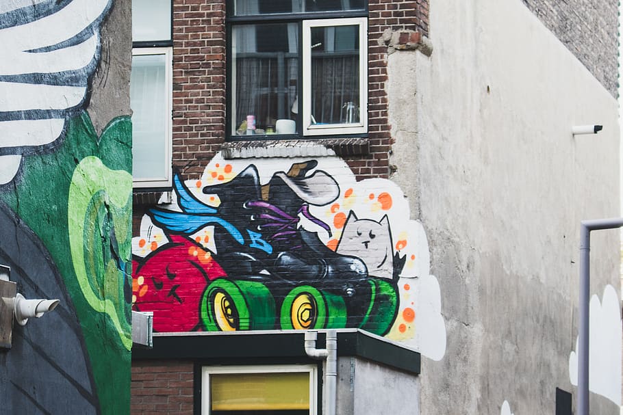 netherlands, rotterdam, shie, cat, cats, streetart, rollerskate, HD wallpaper