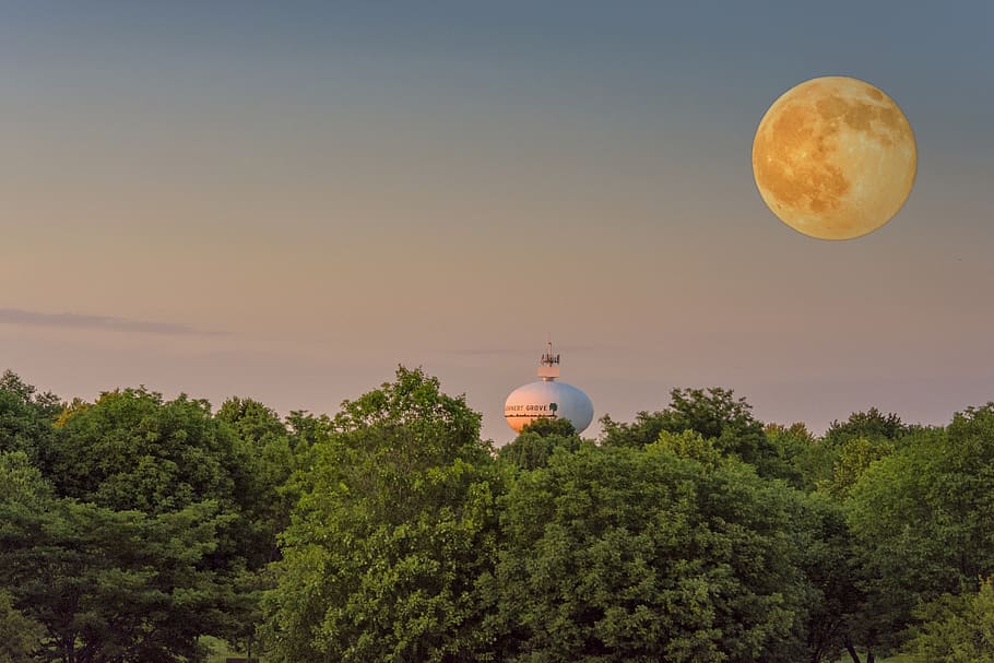 State moon. Луна на большом Рогожском. Земляничная Луна шикарное фото. Луна желтая половинка в Москве фото.