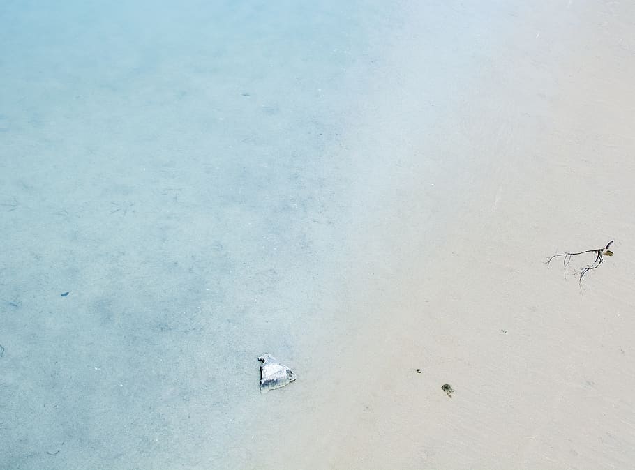 beach, lake, water, blue, sand, scenic, scenery, landscape HD wallpaper