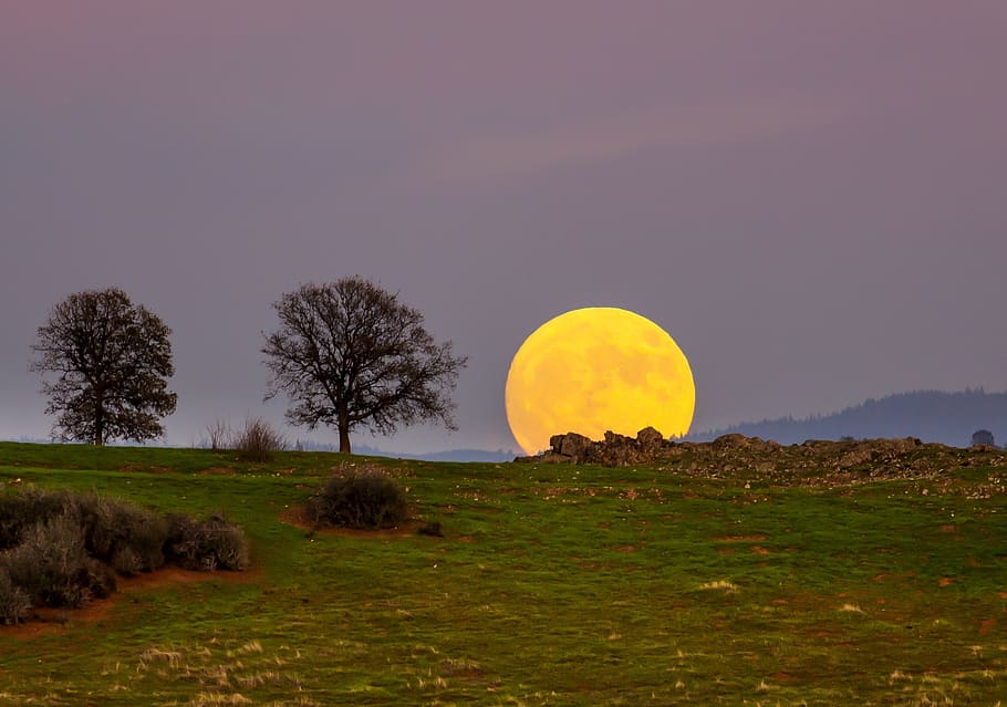 sunset, ball, wilderness, scenic, evening, dusk, orange, fiery HD wallpaper