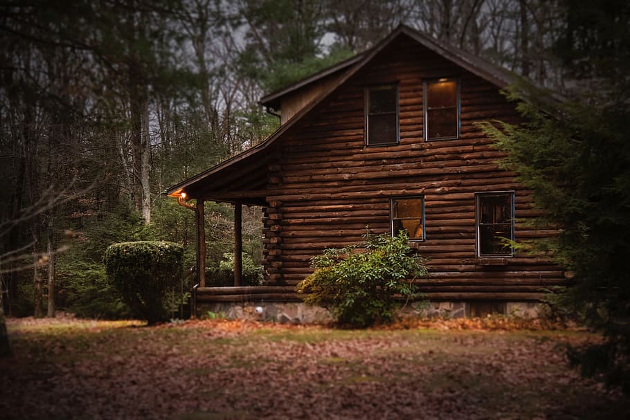 HD wallpaper: log, cabin, forest, wood, rustic, nature, house, home