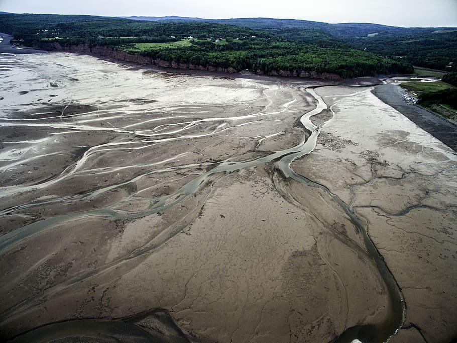 canada, five islands, river, delta, low tide, environment, scenics - nature HD wallpaper
