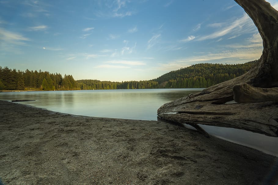 tree trunk beside water, sky, lake, nature, scenics - nature HD wallpaper