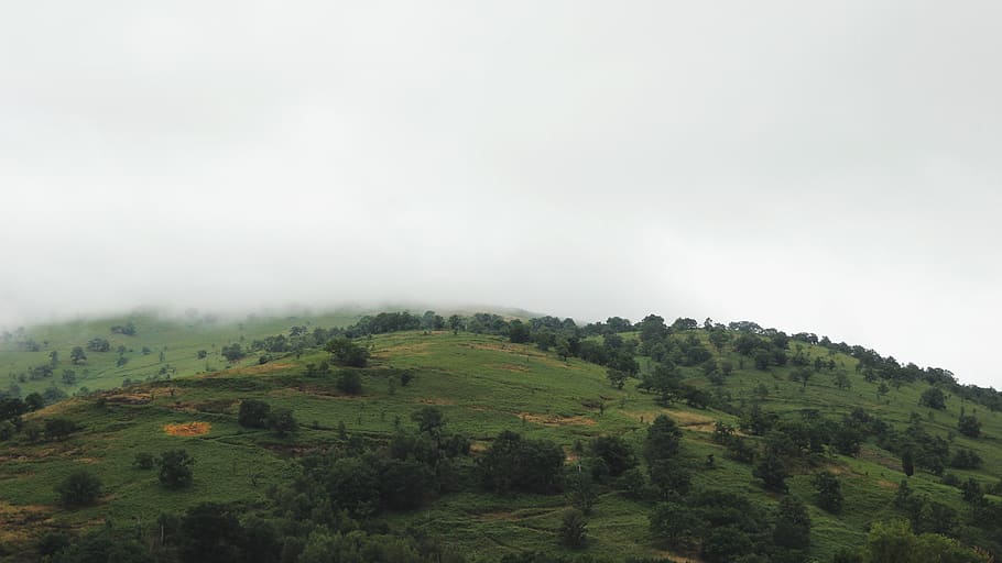 aerial view photography of green forest, nature, outdoors, countryside, HD wallpaper