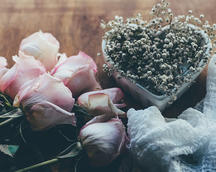pink roses, freshness, food, close-up, food and drink, no people HD wallpaper