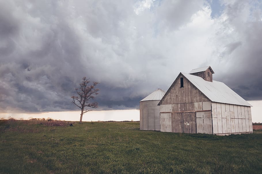 Brown House Near Green Leaf Tree, barn, building, clouds, country HD wallpaper