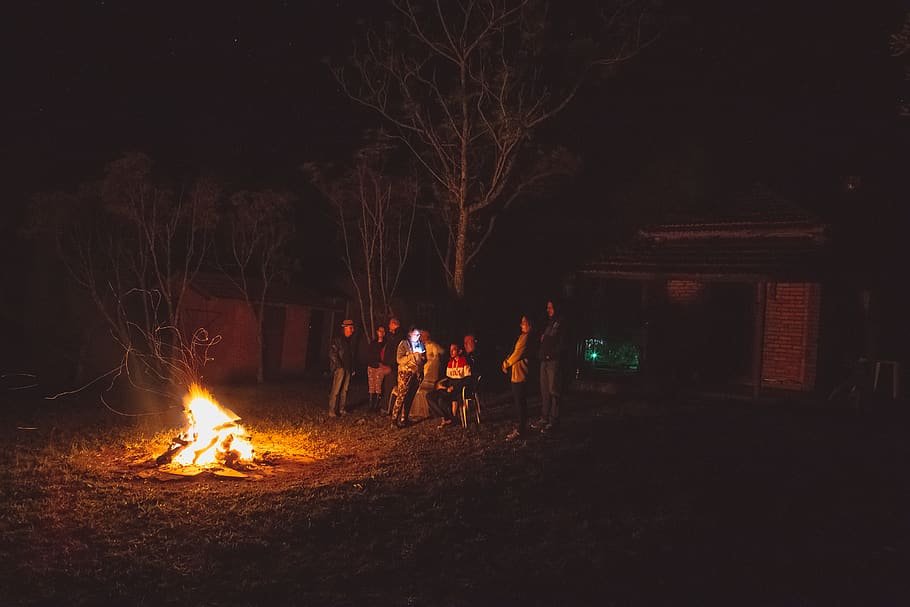 People Standing Near Bonfire during Nighttime, blazing, burning HD wallpaper