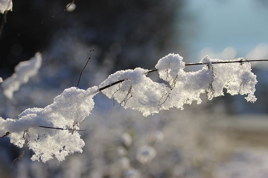 germany, wächtersbach, snow, cold temperature, winter, frozen HD wallpaper