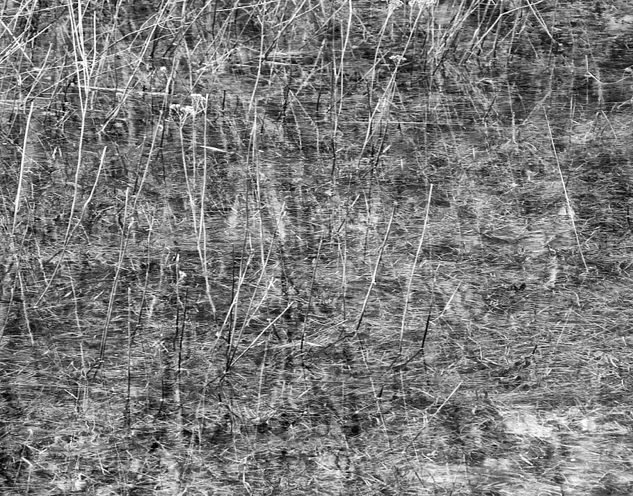 spain, babia, grass, water, bandw, backgrounds, full frame HD wallpaper