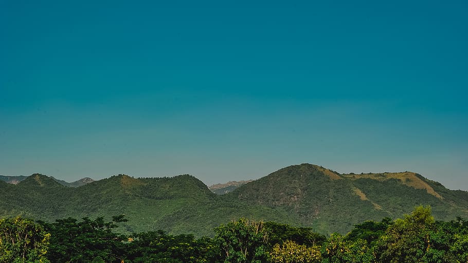 Photo of Forest Trees Near Mountains, clear sky, daylight, grass HD wallpaper