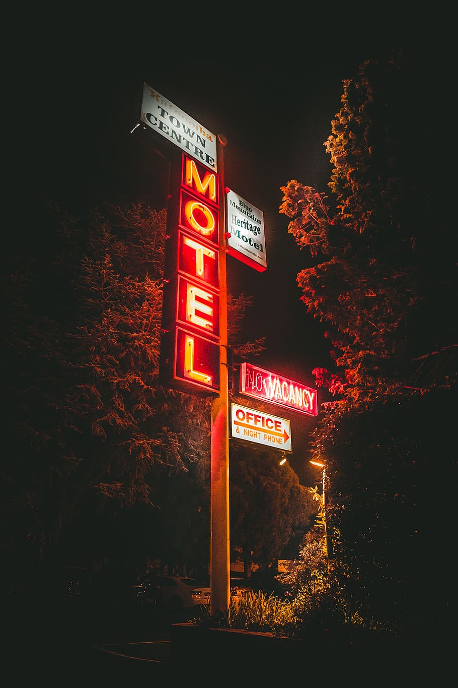 trees, post, motel, signage, lights, dark, night, grass, plants HD wallpaper