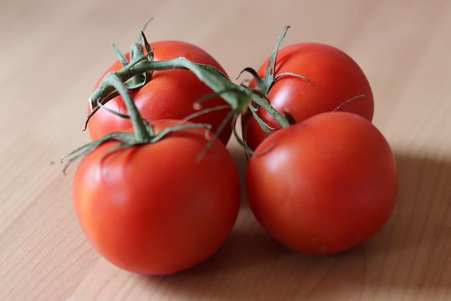 power, tomatoes, vegetables, food, food and drink, healthy eating HD wallpaper