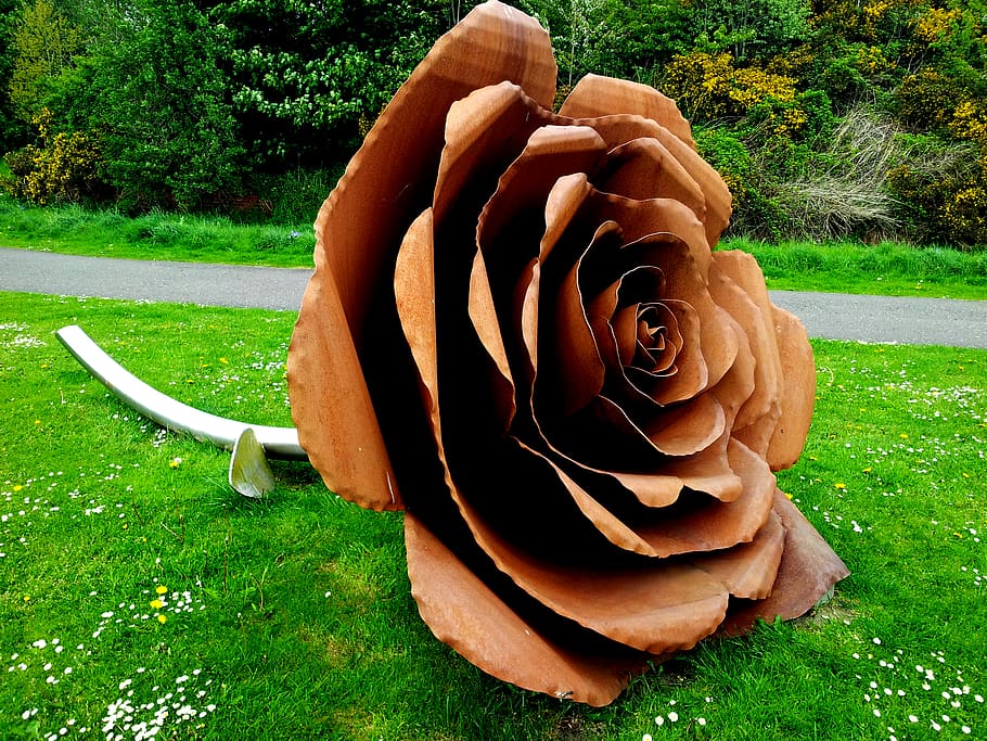 green, grass, trees, plant, nature, street, view, garden, rose HD wallpaper