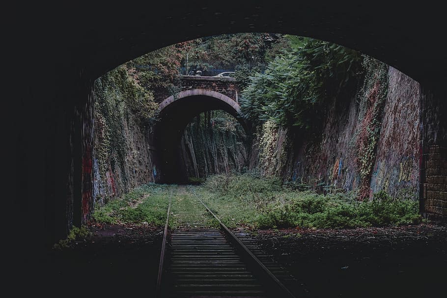 train rail track near trees, architecture, built structure, the way forward HD wallpaper