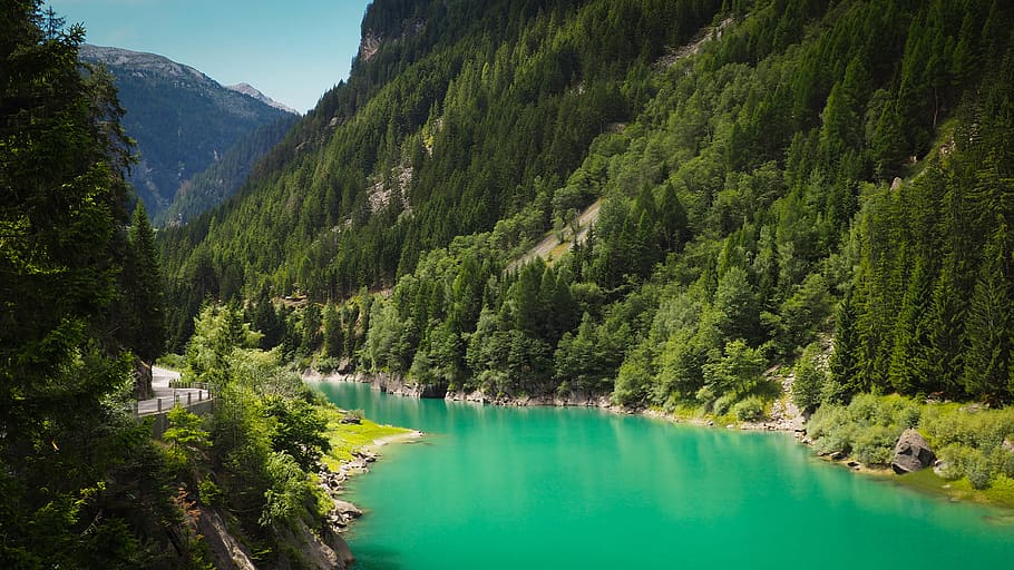 switzerland, water, scenics - nature, tree, beauty in nature HD wallpaper