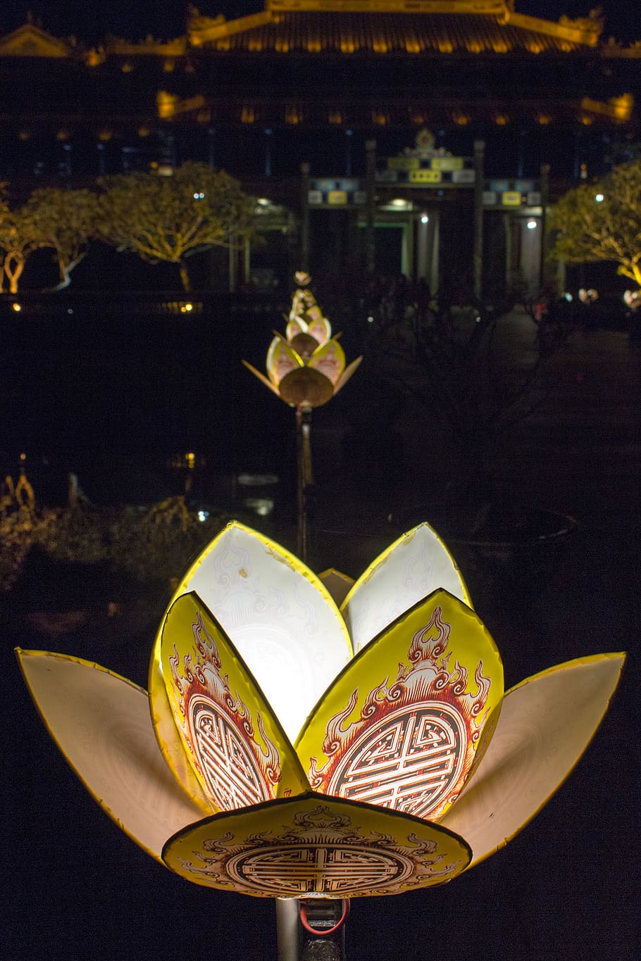 vietnam, hue, imperial city, flower, night, gold colored, architecture, HD wallpaper