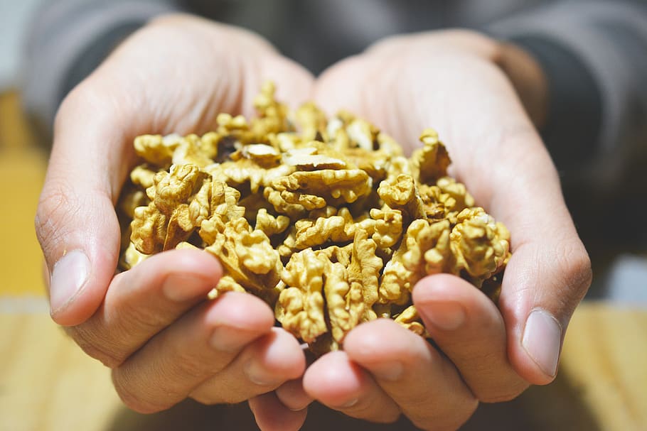 nuts, hands, detail, fruit, human hand, holding, one person HD wallpaper