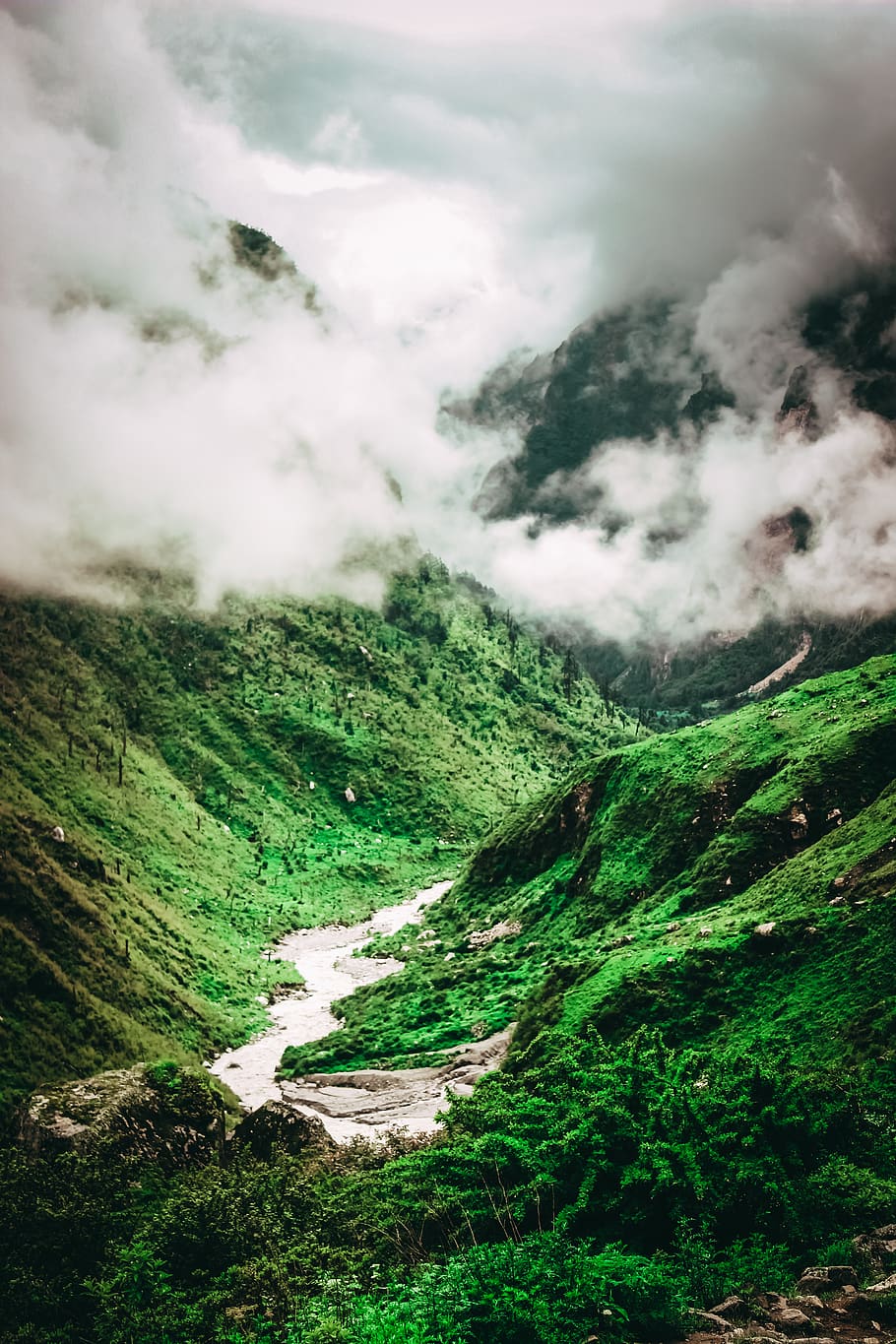 nepal, langtang, river, landscape, trees, forest, trekking, HD wallpaper