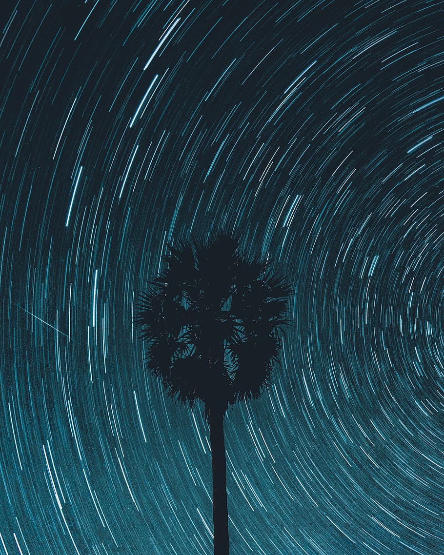 Silhouette of Tree With Spiral Lights, abstract, art, bright HD wallpaper