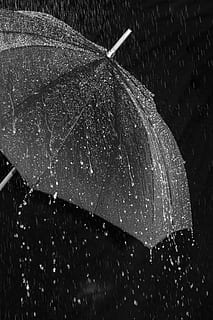 rain, umbrella, screen, protection, water, wet, drip, raindrop HD wallpaper