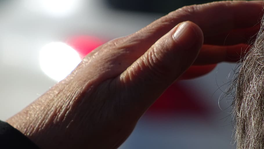 spain, merza, hand, human hand, human body part, close-up, focus on foreground HD wallpaper