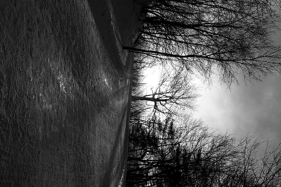 ground, path, canada, montreal, light, road, dirt road, gravel HD wallpaper