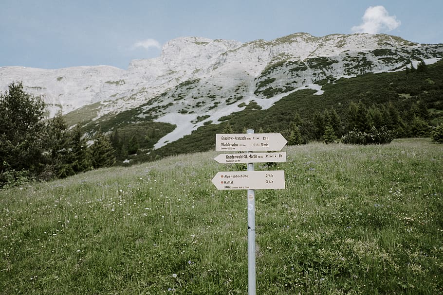 white signage near green grass field, road sign, street sign HD wallpaper