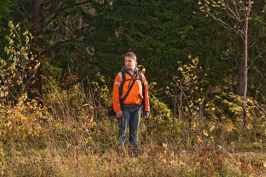 hiker, forest, forester, man, hiking, woods, traveller, plant HD wallpaper