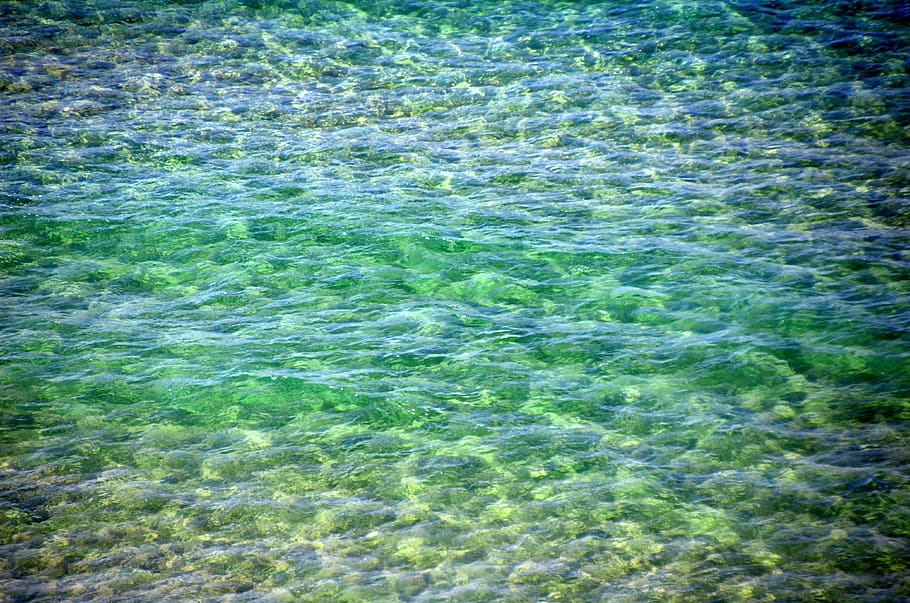 desktop, nature, summer, flora, landscape, pattern, water, outdoors, HD wallpaper