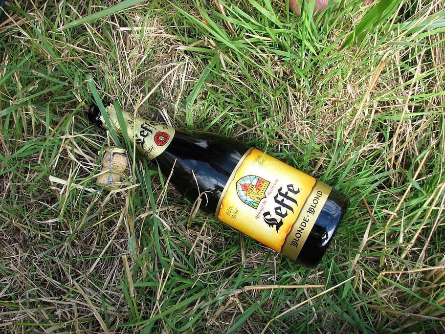 beer, bottle, trash, picnic, cork, label, plant, grass, text HD wallpaper