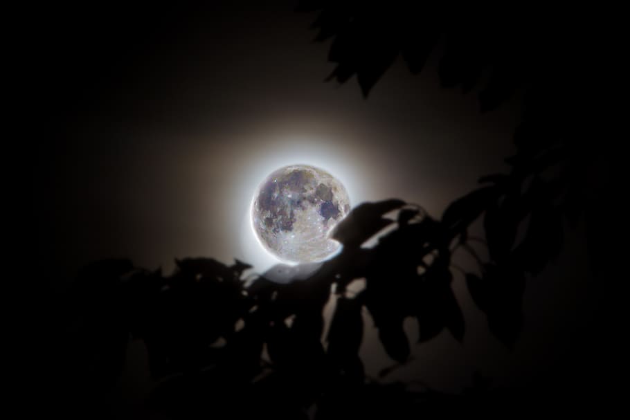 germany, neuendettelsau, rosenstraße 4, wallpaper, moon, nature HD wallpaper