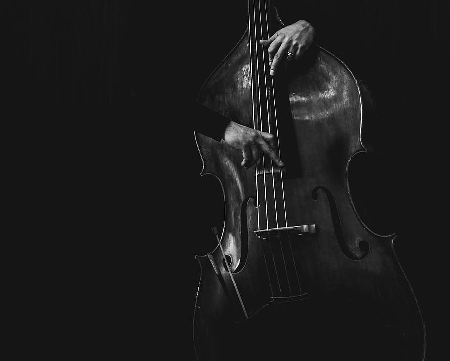 person playing cielo black and white photography, musical instrument, HD wallpaper