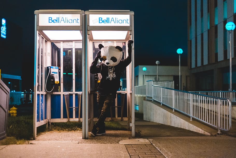 person wearing bear costume, panda, tourism, communication, urban