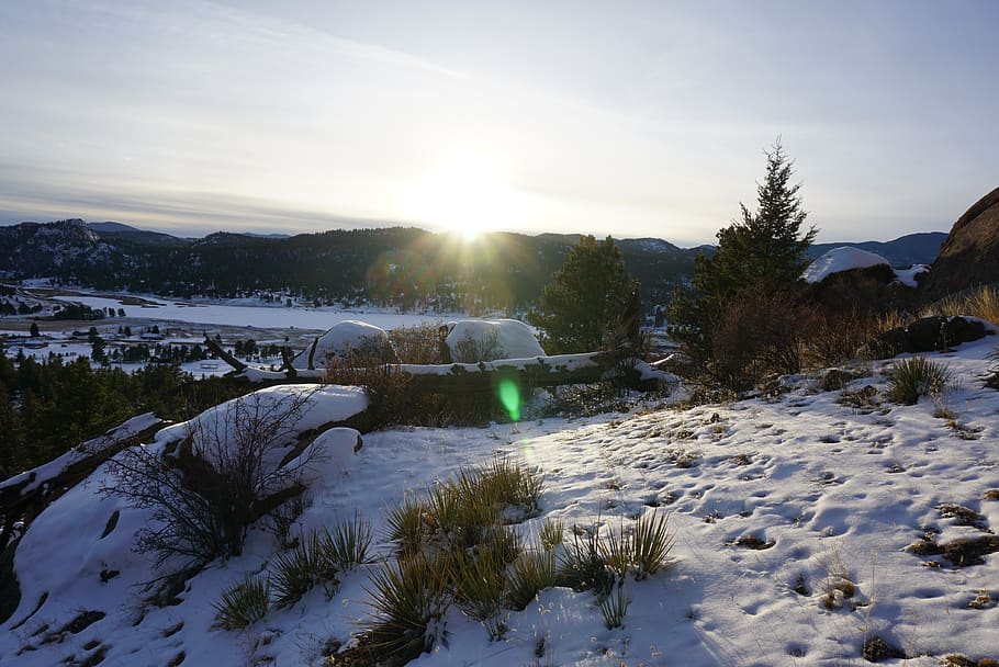 Green Grass on Mountain Covered by Snow, cold, dawn, daylight HD wallpaper