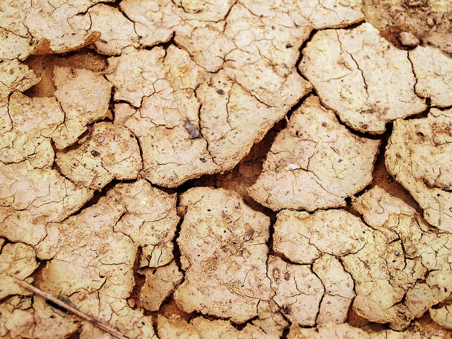 Dried Soil, arid, clay, close-up, cracks, daylight, dirt, drought, HD wallpaper