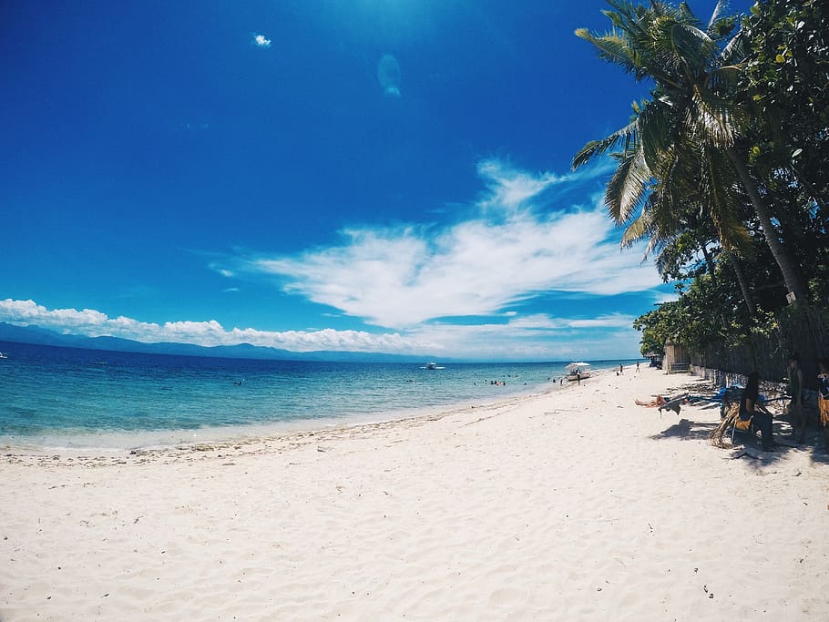 beach, land, sea, water, sky, sand, beauty in nature, tree HD wallpaper