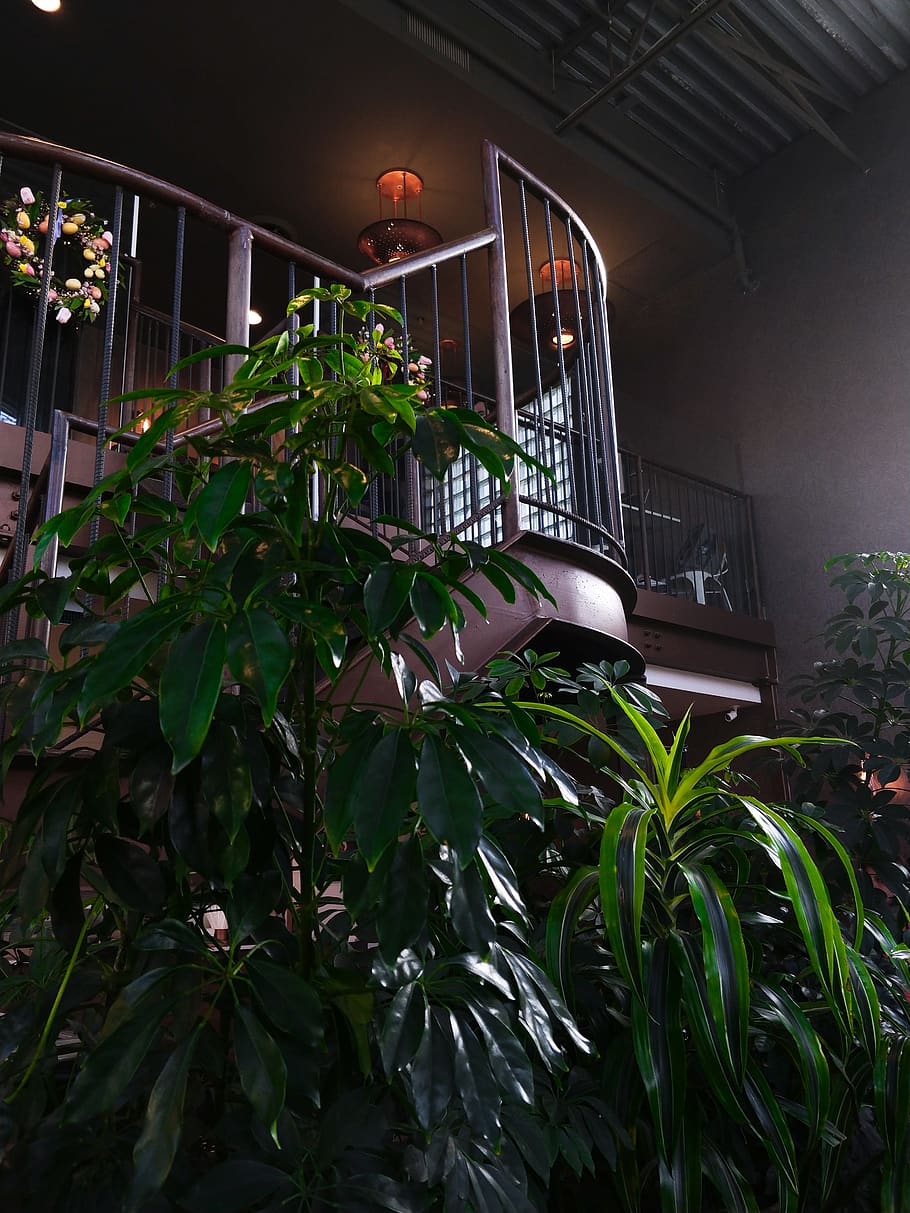 Gray Metal Stairs, architecture, building, color, floor, flora HD wallpaper