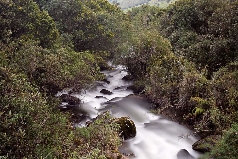 ecuador, papallacta, landscape, river, nature, tourism, plant HD wallpaper