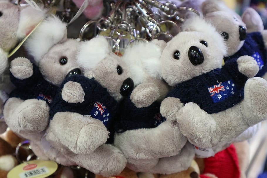 koala, australia, gray, animals, cuddly, bear, toy, keychain HD wallpaper