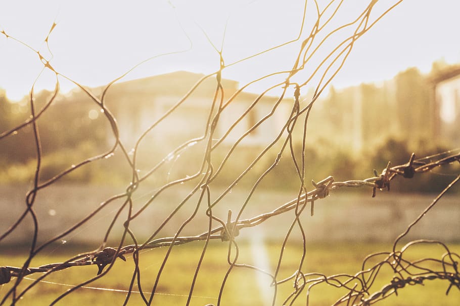 wire, light, sunset, barbed wire, hope, caged, focus on foreground HD wallpaper