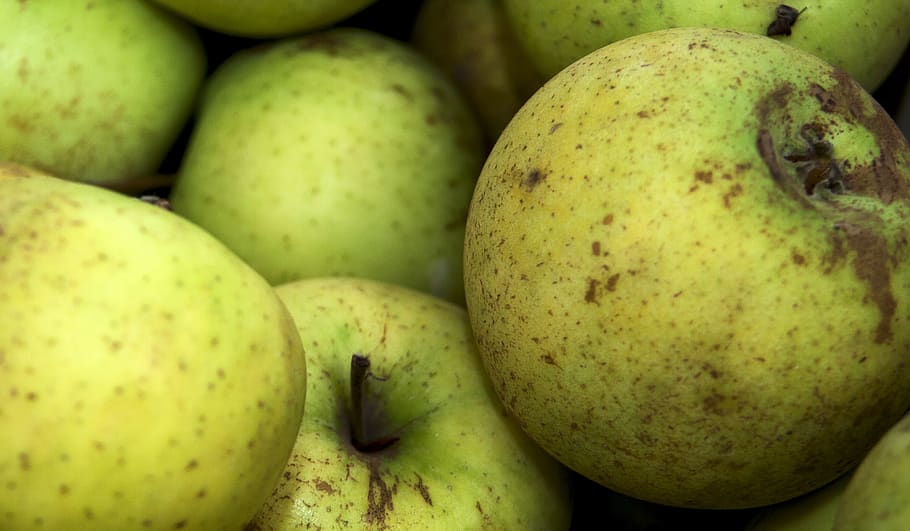 apples, fruit, eco, healthy, vitamins, fresh, delicious, food and drink HD wallpaper