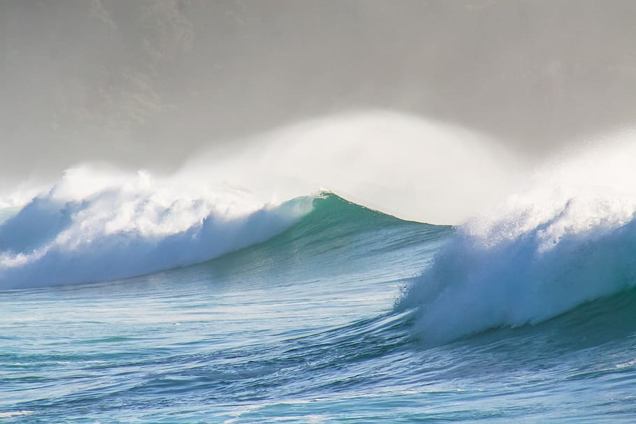 ocean wave, power in nature, sea, motion, water, beauty in nature HD wallpaper