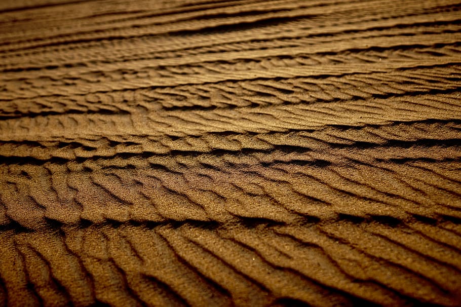 brown sand field, soil, nature, outdoors, dune, rug, desert, ground HD wallpaper